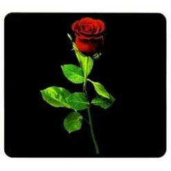 Wenko Placca Rosa Baccara Per Piano Di Cottura In Vetroceramica