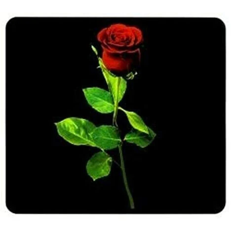 Wenko Placca Rosa Baccara Per Piano Di Cottura In Vetroceramica 3 Wenko Placca Rosa Baccara Per Piano Di Cottura In Vetroceramica